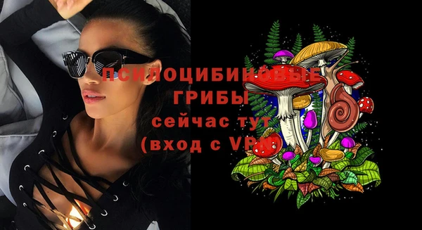apvp Алексин