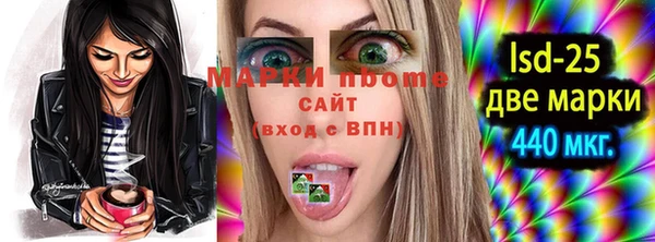apvp Алексин