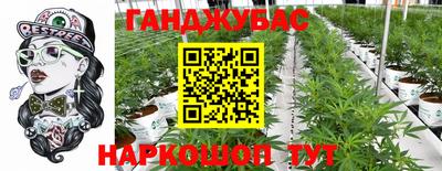 прущие грибы Обнинск