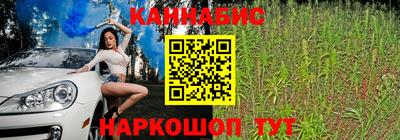 прущие грибы Камень-на-Оби