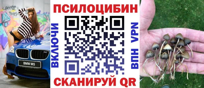 Галлюциногенные грибы Psilocybe  Сарапул 