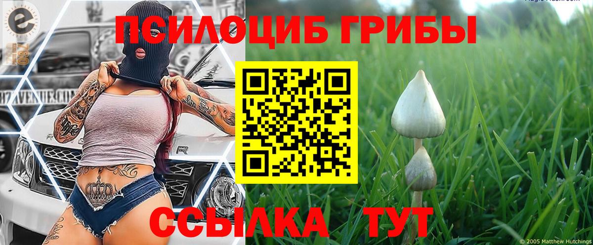 Псилоцибиновые грибы MAGIC MUSHROOMS Сарапул